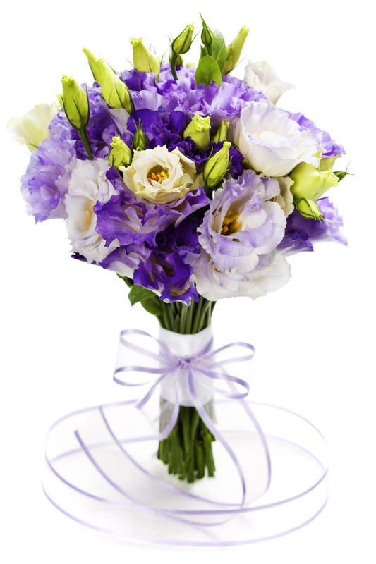 Sitemapcdatahttpsshopinf Inetcomblog Art Floral Lisianthus