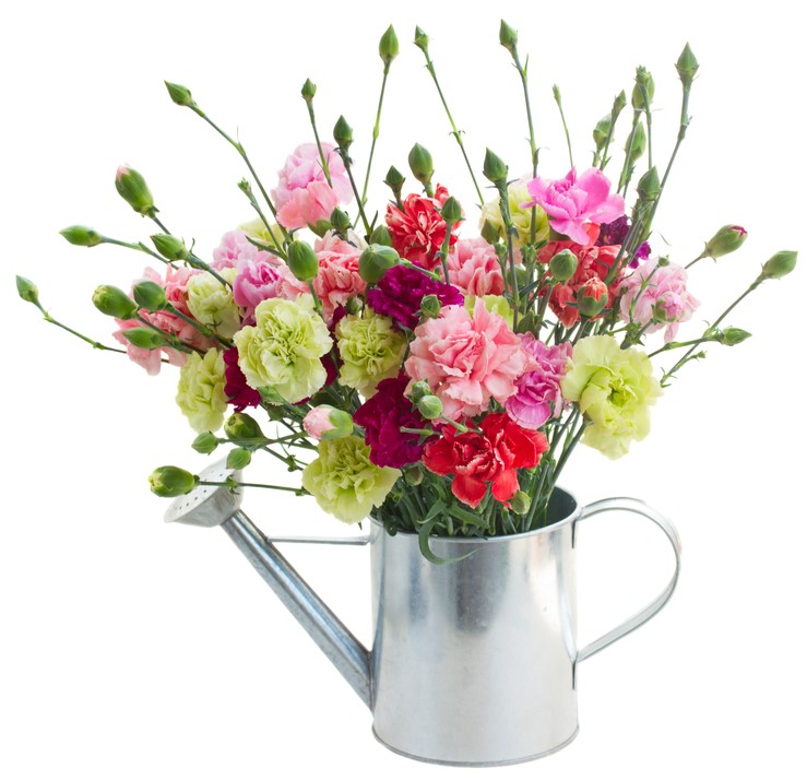 bouquet oeillets des fleuristes