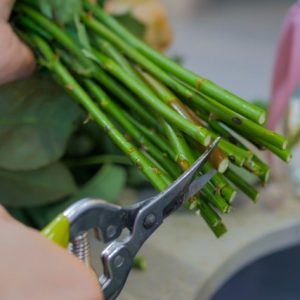 entretien fleurs coupées