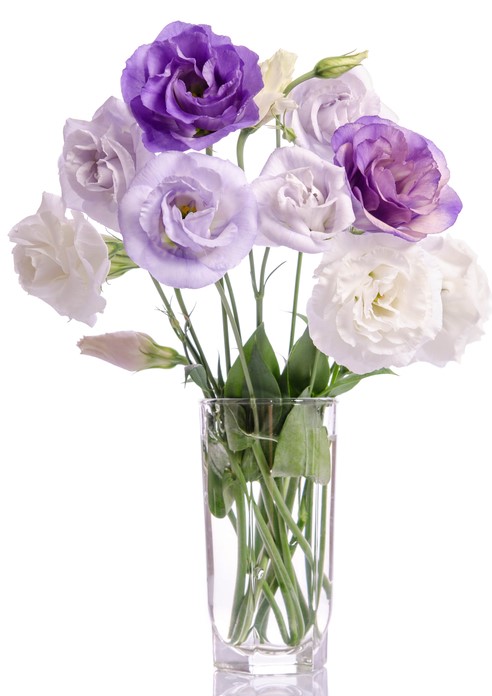 Blog Art Floral Lisianthus