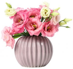 eustoma grandiflorum vase