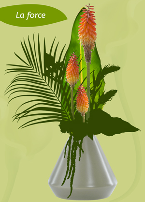 expression force composition florale