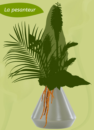 expression pesanteur composition florale