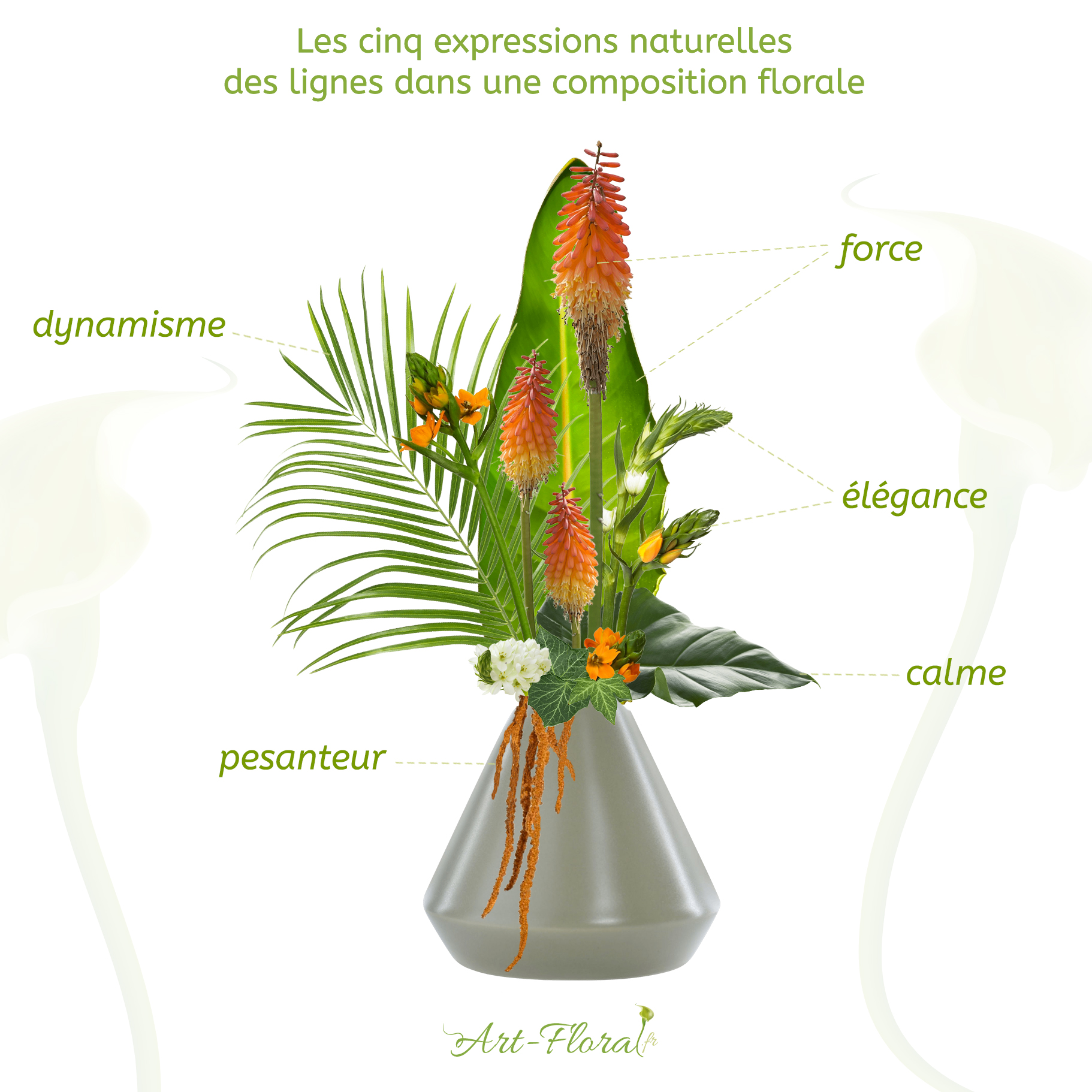 5 expressions naturelles des lignes composition florale