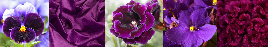 fleurs texture velours