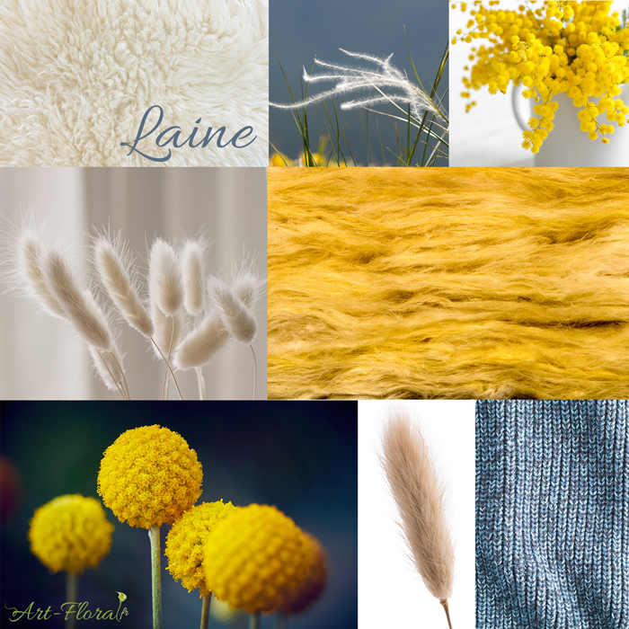 texture laine végétaux