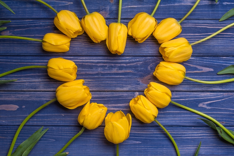 tulipes en art floral