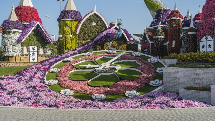 Dubaï miracle garden floral clock