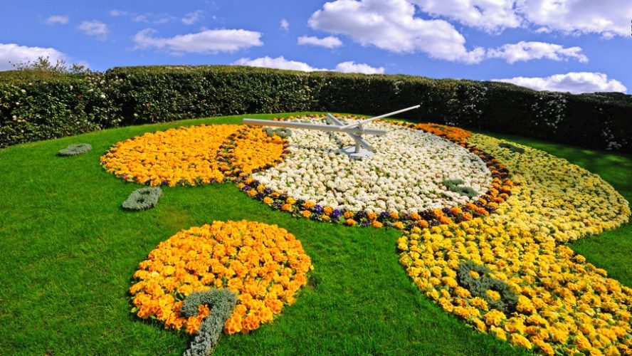 Geneva yellow flower clock