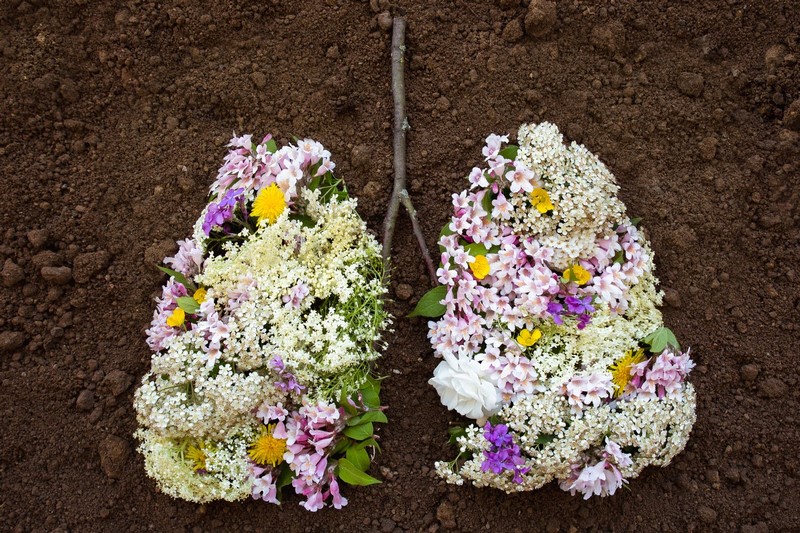 art floral écologique