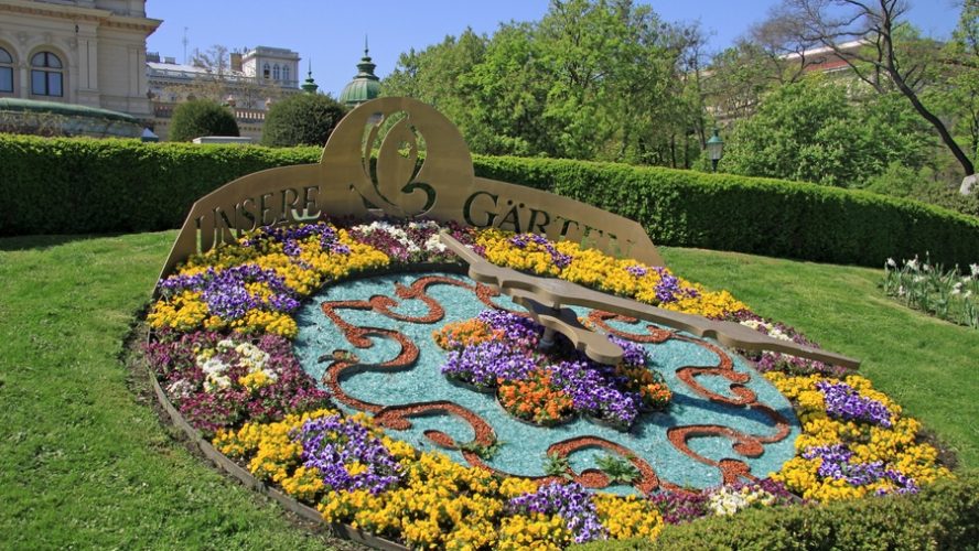 clock flower Wiener Stadtpark