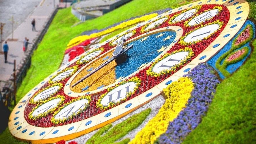 clock flower kiev ukraine