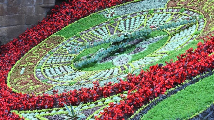 edinburgh floral clock 2014