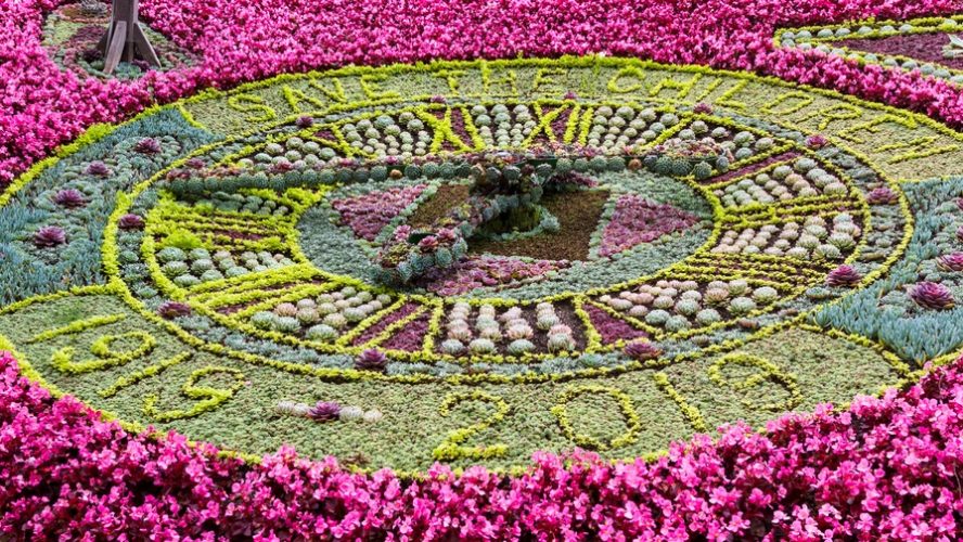 floral clock Edinburgh 2019 save the children