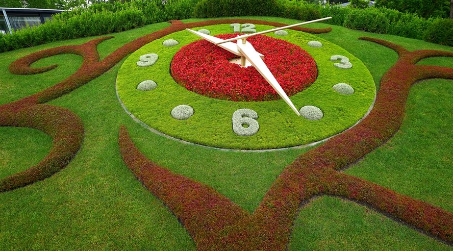 green red flower clock geneva