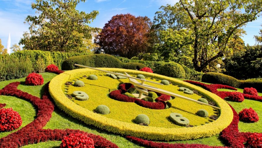 horloge de fleurs Geneve