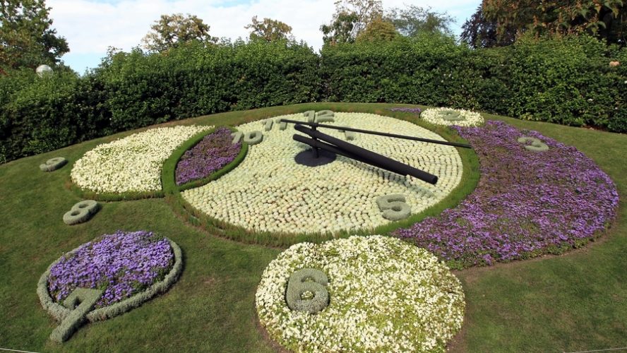 horloge en fleurs Geneve
