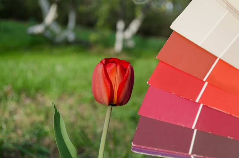 couleurs complémentaires jardin rouge vert