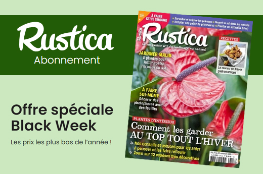 Black Friday Rustica : une bonne occasion de se mettre au vert…
