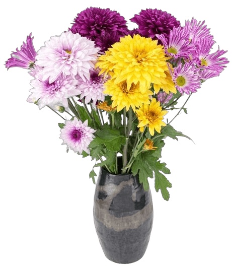 bouquet chrysanthèmes jaunes violets