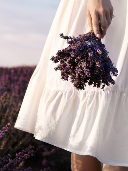 bouquet de lavande