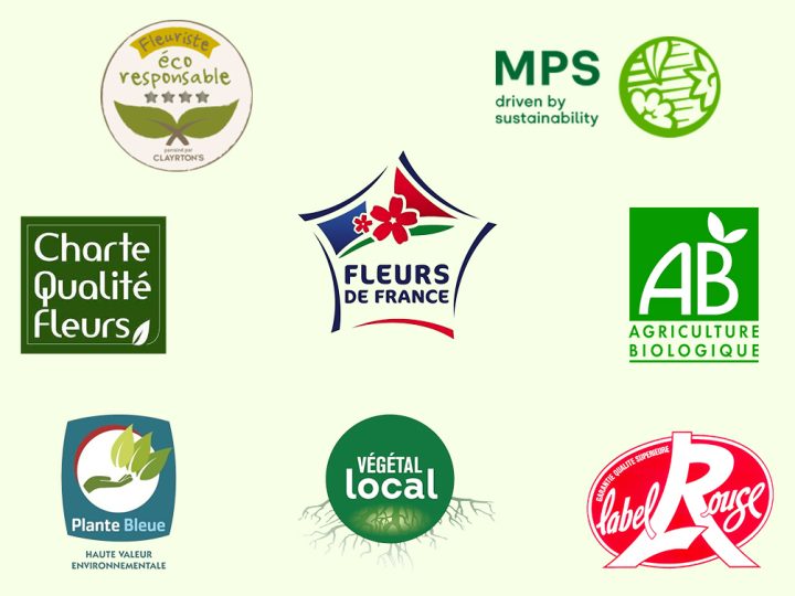 Label fleurs & plantes : à quelle étiquette se fier ?