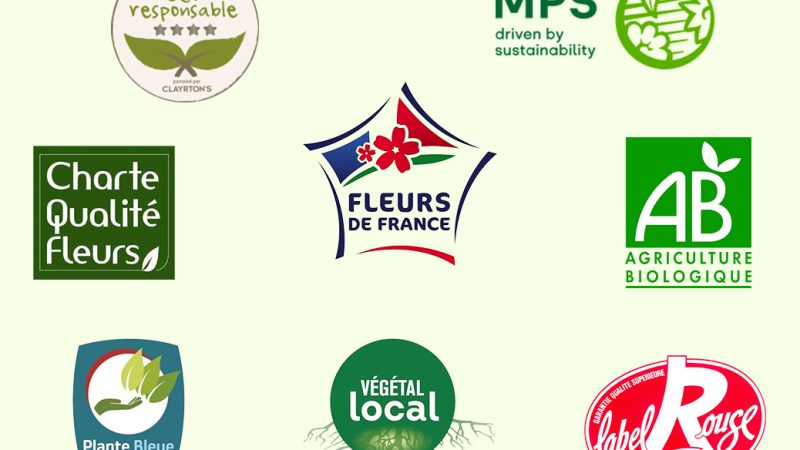 Label fleurs & plantes : à quelle étiquette se fier ?