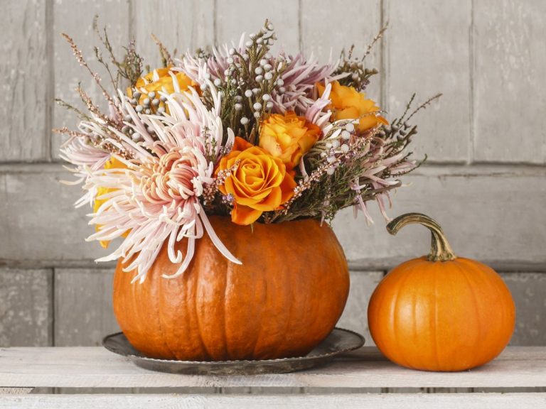 compo florale d'automne : bouquet de fleurs dans une courge