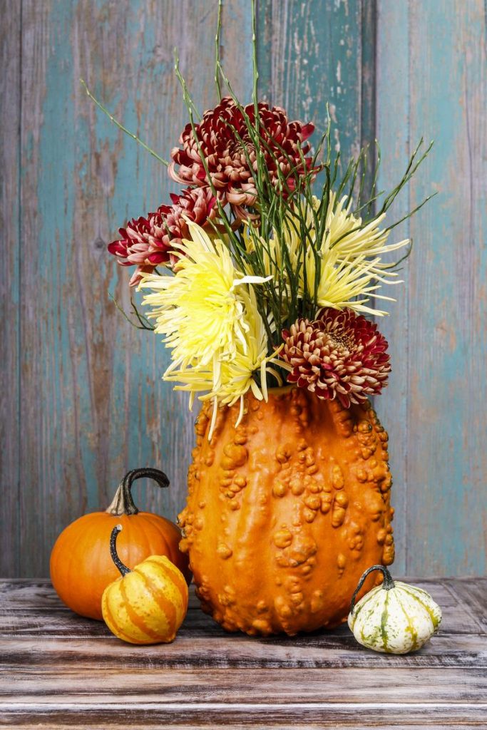 bouquet de fleurs dans une courge verruqueuse
