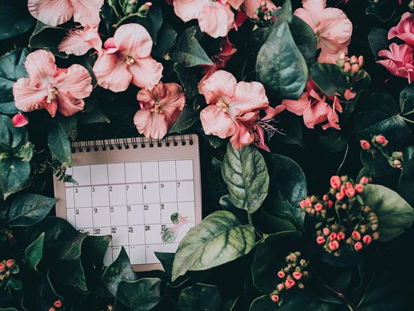 calendrier fleuri