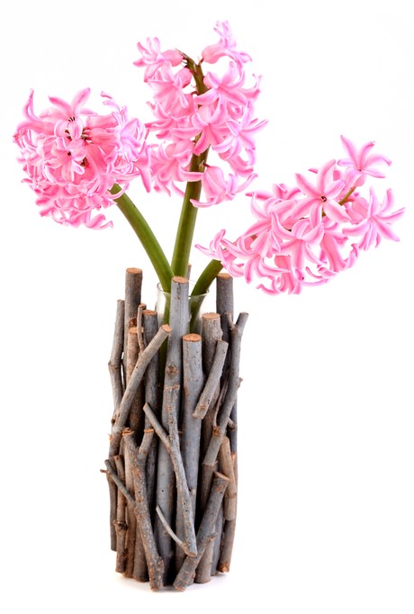 jacinthes roses dans un vase recouvert de bois