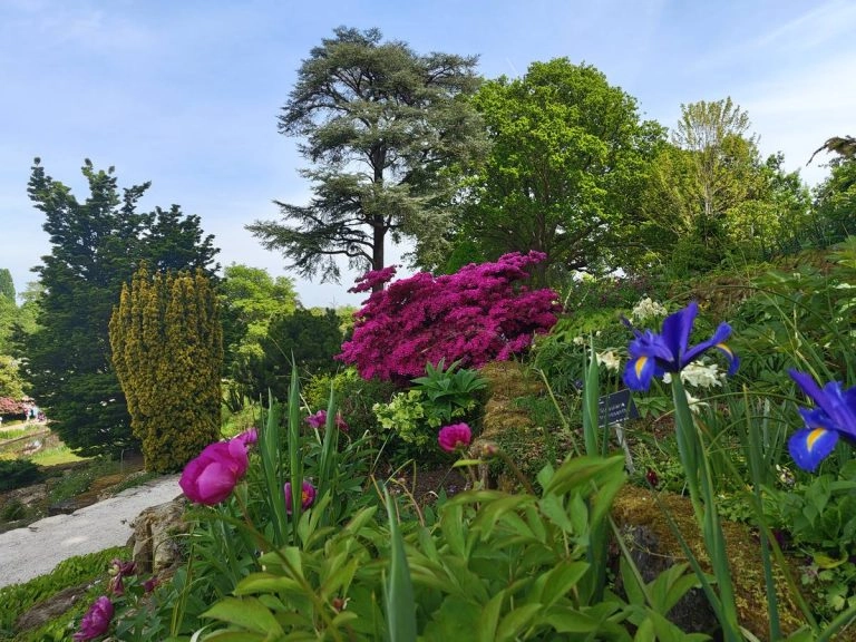 jardin RHS Garden Wisley