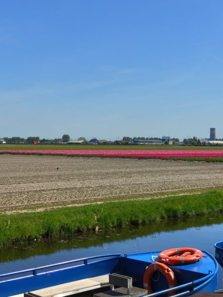 champ et bateau Keukenhof