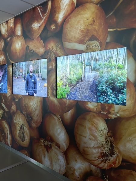 expo vidéo Keukenhof
