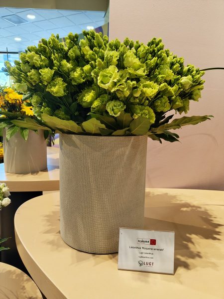 lisianthus vert Keukenhof