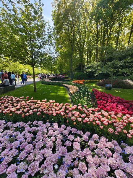 parc de keukenhof 2025 (1)