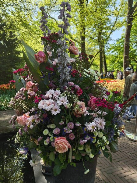 parc de keukenhof 2025 (17)
