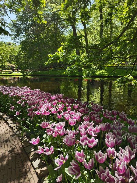 parc de keukenhof 2025 (21)