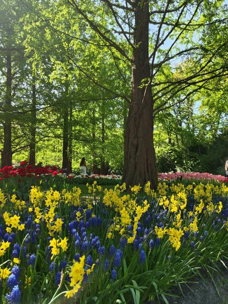 parc de keukenhof 2025 (33)
