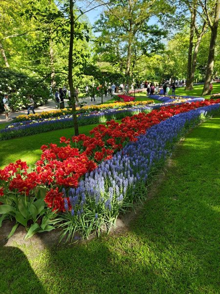 parc de keukenhof 2025 (34)