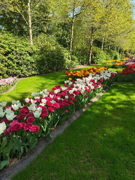 parc de keukenhof 2025 (4)