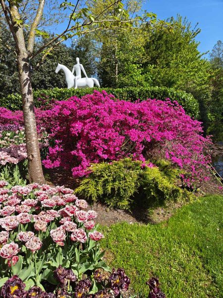 parc de keukenhof 2025 (8)