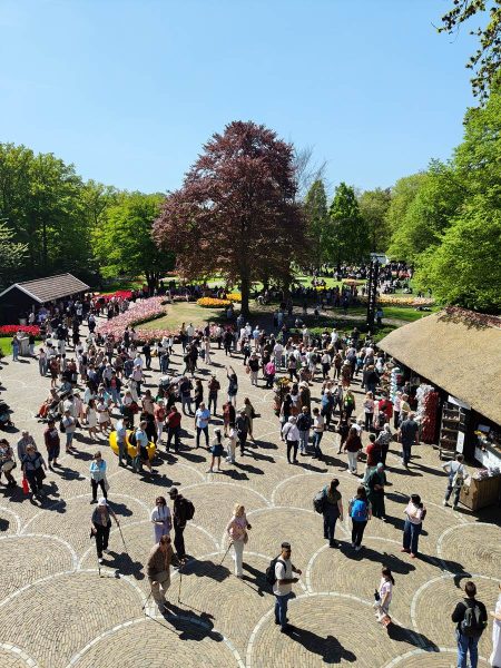 vue du moulin Keukenhof