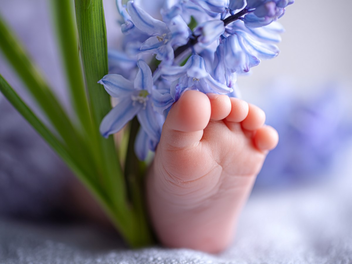 prénoms floraux garçons