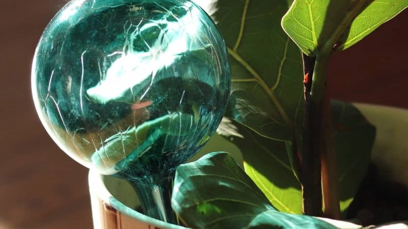 Cristallerie Dabo, du cristal mosellan pour hydrater vos plantes avec élégance