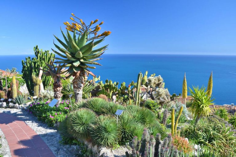 jardin méditerranéen